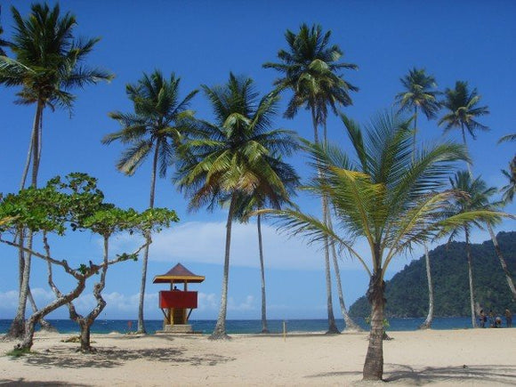 Maracas Bay Trinidad